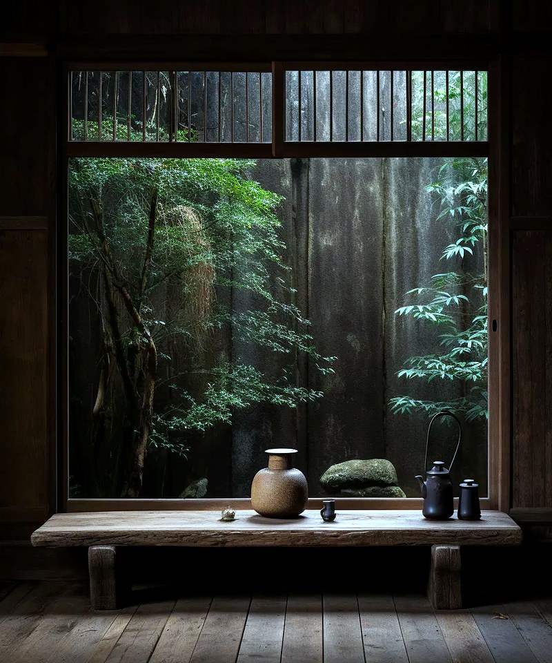 W Vision Lab studio — zen interior with live-edge bench and forest garden view
